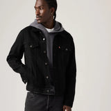 Man wearing a black denim jacket over a gray hoodie on a plain background